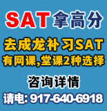 成龙 SmArT SAT 917-640-6918